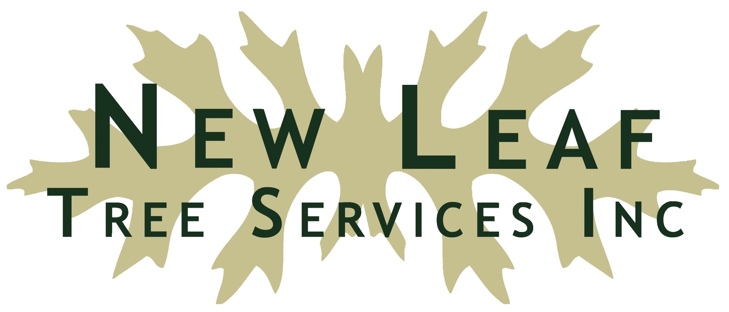 New Leaf Tree Services, Inc - Chatham Area Business and Arts