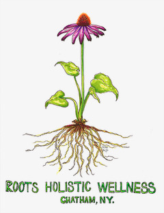 Roots Holistic Wellness
