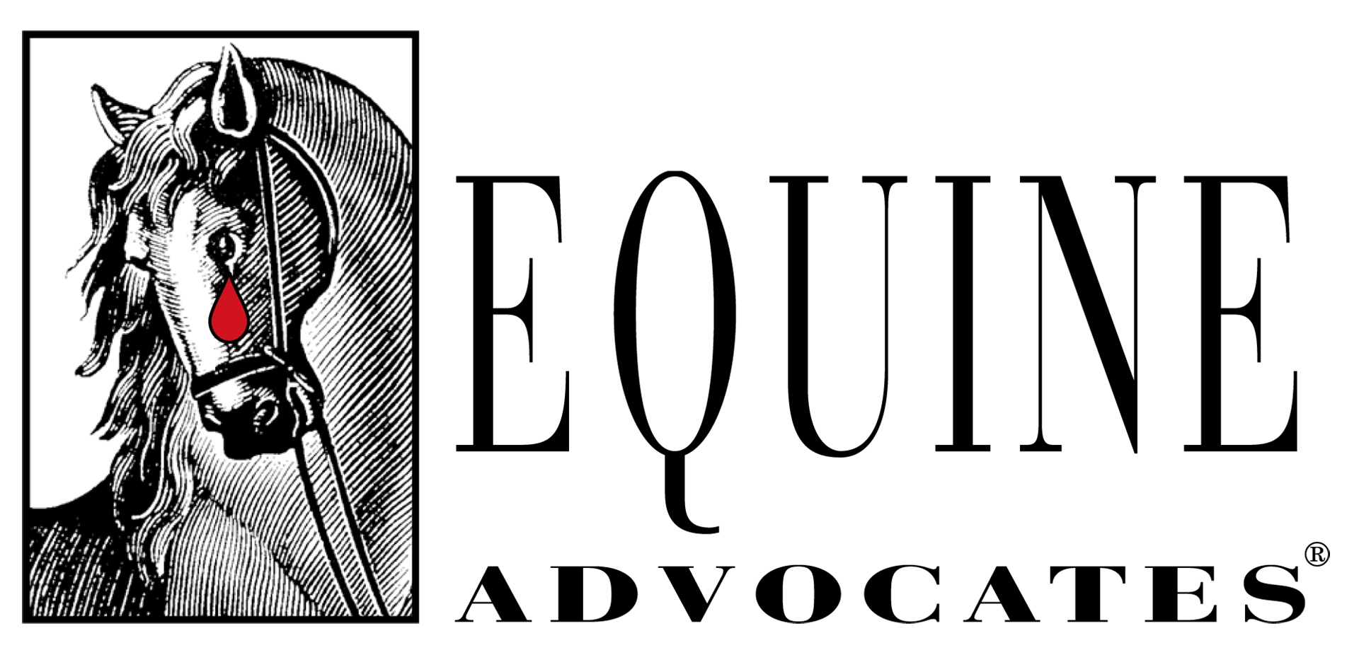 Equine Advocates